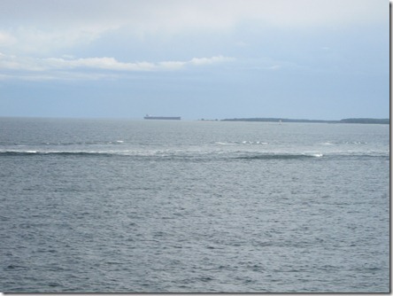 IMG_0317 IMG_0317