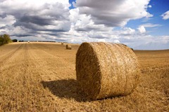 Hay-Bales