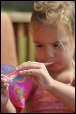 DSC_0838 DSC_0838