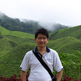 Cameron Highland
