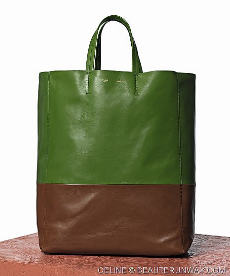 [Celine%2520Cabas%2520Bicolor%2520Bag%2520in%2520Green%2520and%2520Brown%255B1%255D.jpg]