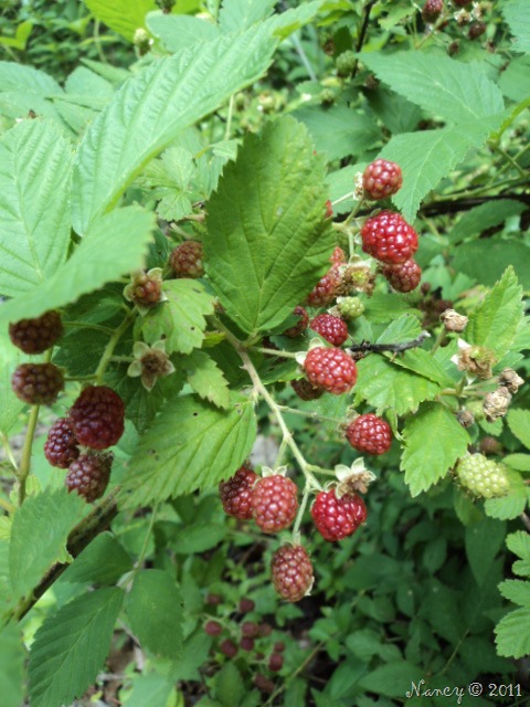 [DSC024398.jpg]