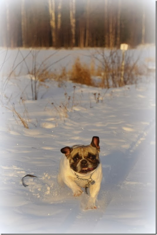 _DSC0013 _DSC0013