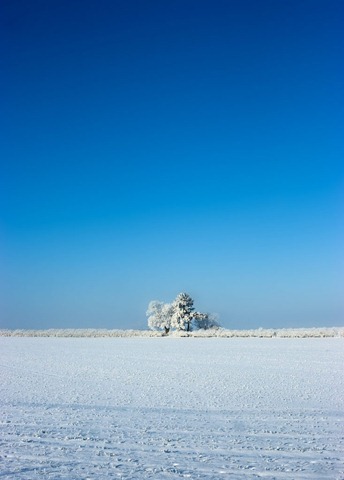 Snowy-Fields-4