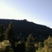 View album