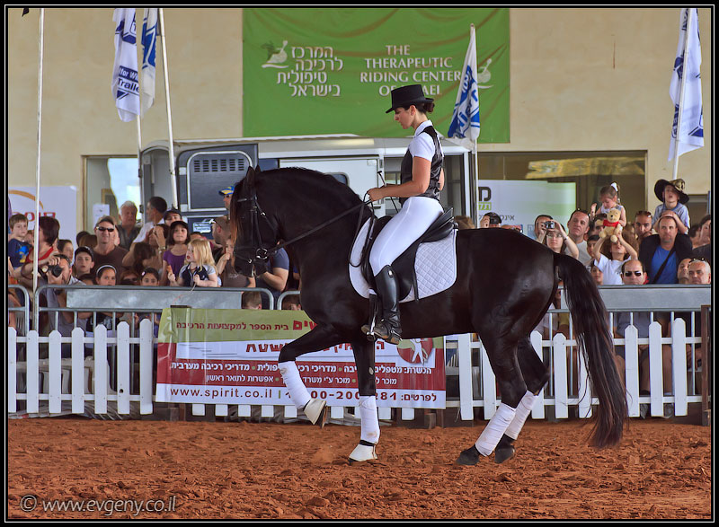 il/Фото: Stallion Show 2011 (20110416 stllion show 048 2153)