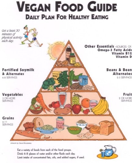 [vegan-food-pyramid%255B6%255D.jpg]