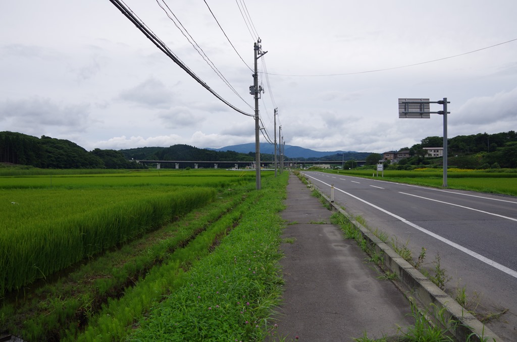 [IMGP71273.jpg]