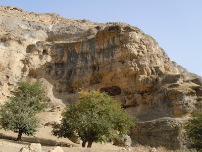 DSCN4062.jpg