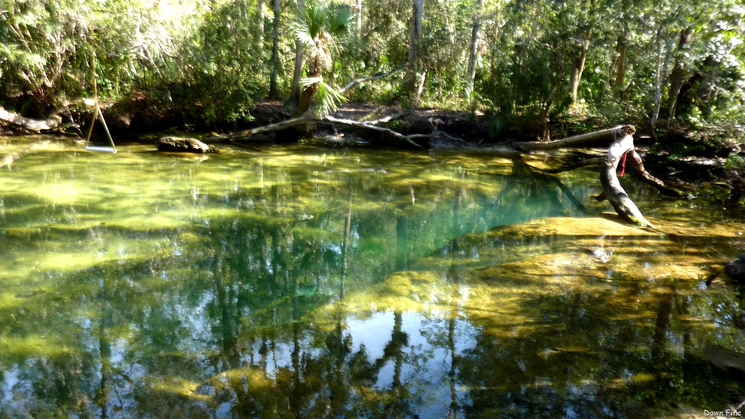 [Chassahowitza-River-canoeing_07112.jpg]