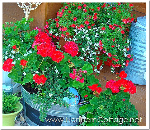 home 024 home 024