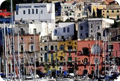 procida procida