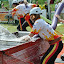 SSHL Rosina 2010
