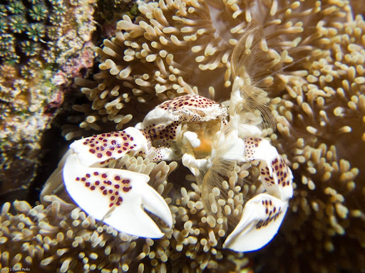 P7024317