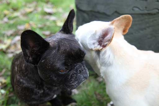 Franny, I'm going to whisper this because I don't want anyone to know....I'm scared!