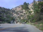 IMG00668-20100130-1159.jpg
