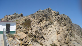 IMG_3720.jpg