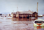 A photo of the Dawg's soggy plight immediately following the Good Friday earthquake of 1964.
