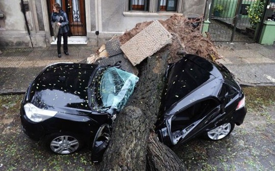 [viral-picdump-pics-44%255B2%255D.jpg]