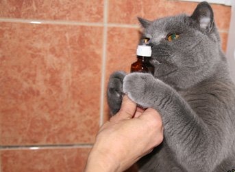 [1311610948_1%255B5%255D.jpg]