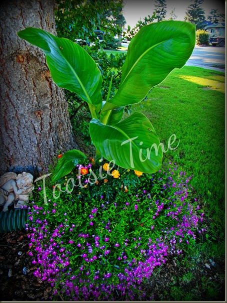 BeFunky_042.jpg BeFunky_042.jpg
