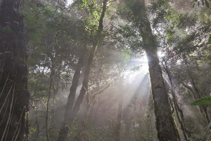 2014_1005_095505 2014_1005_095505