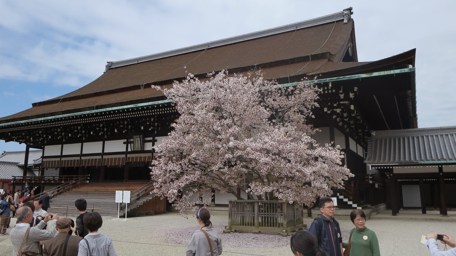 [IMG_2683%255B3%255D.jpg]