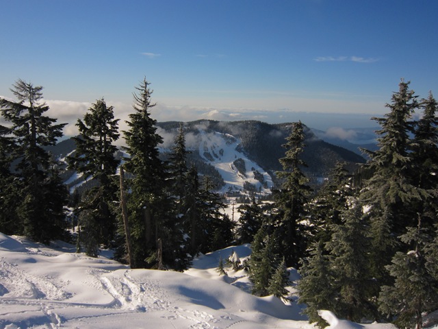 [IMG_6420%255B3%255D.jpg]