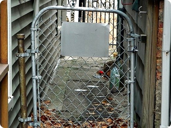 Wordless Wed backyard fence final