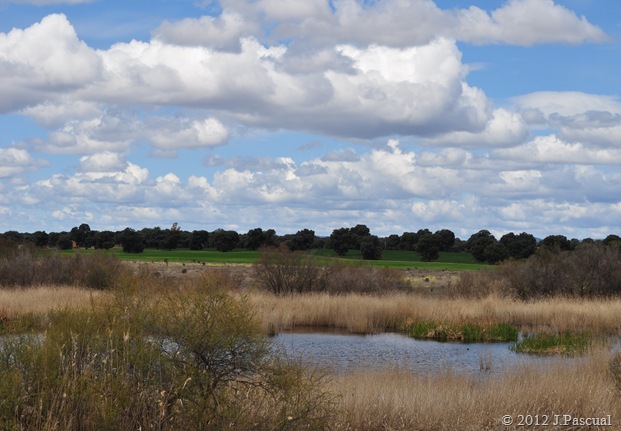DSC_0139 DSC_0139