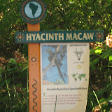 The Macaw sign at the Nashville Zoo 09032011