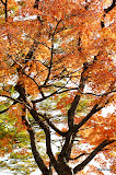 DSC01427.JPG