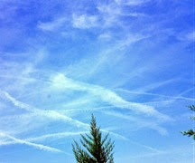 z.cieli ago2014_2 z.cieli ago2014_2