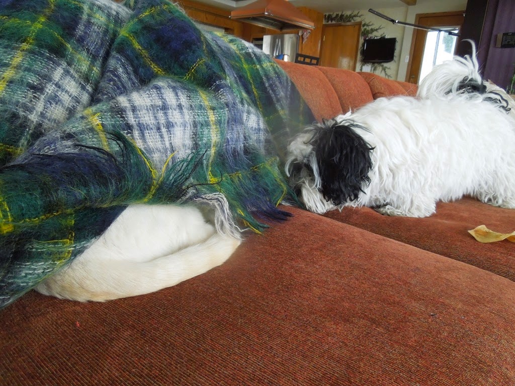 [DSCN0940%255B3%255D.jpg]