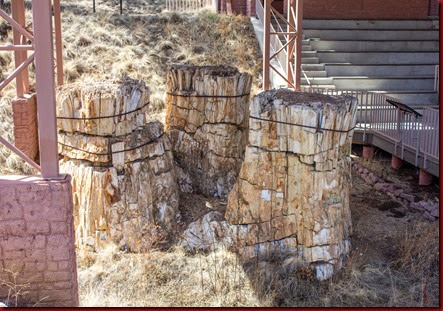 Florissant Fossil Bed NM (2 of 2)