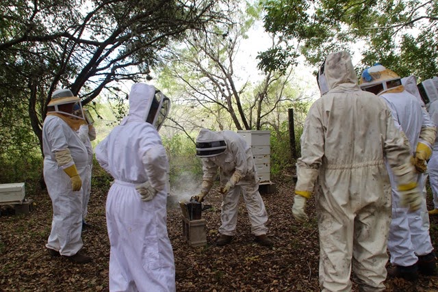 [IMG_3958%255B4%255D.jpg]