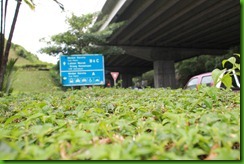 IMG_8983 IMG_8983