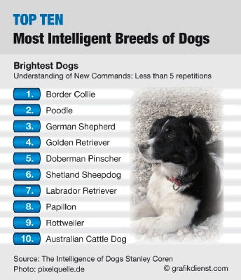 Top Ten Largest, Biggest, Longest, Deepest, Richest, Cleanest, Greatest, Highest, Lowest, Best, Fastest