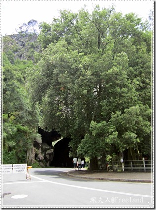 jenolan cave