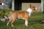 Karmacoma SUPERSTYLIN' 6 months