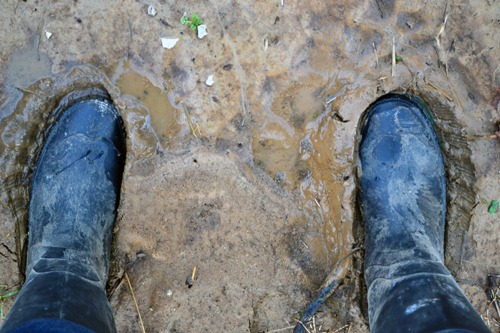 [boots%2520in%2520the%2520mud%255B3%255D.jpg]