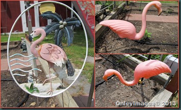 flamingo collage flamingo collage