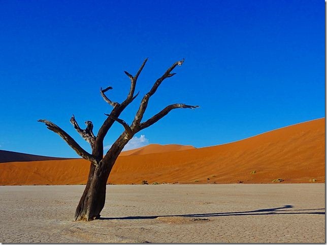 Sossusvlei_DSC00732 Sossusvlei_DSC00732