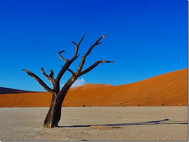 Sossusvlei_DSC00732