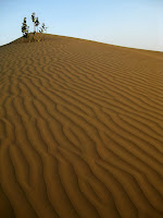 Camel Safari in the Thar Desert - Rajasthan