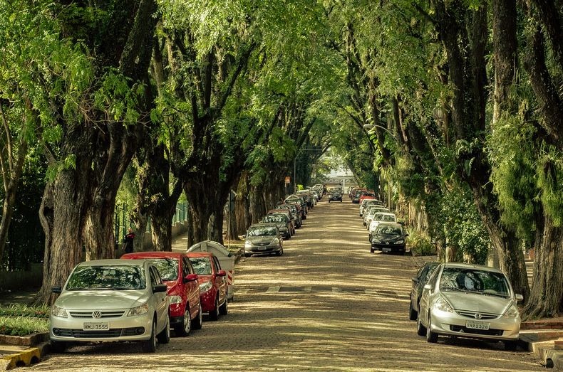 الشارع الأكثر جمالا في العالم  !! Goncalo-de-carvalho-3%25255B2%25255D