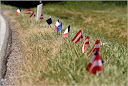 Roth_2010_253.jpg