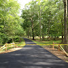 driveways - 2012-05-18%25252016.31.59-768x1024.jpg