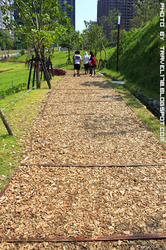 秋紅谷公園