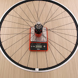 image14.jpg